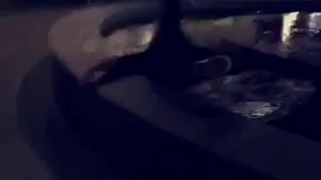 Guy in jeans stands next to fountain and his friend pushes him in