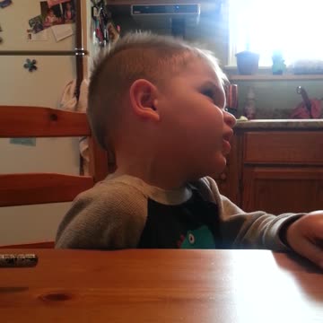 Kid’s Favorite Animal Is Alligator-Shark-T-Rex, Mom’s Is Daddy