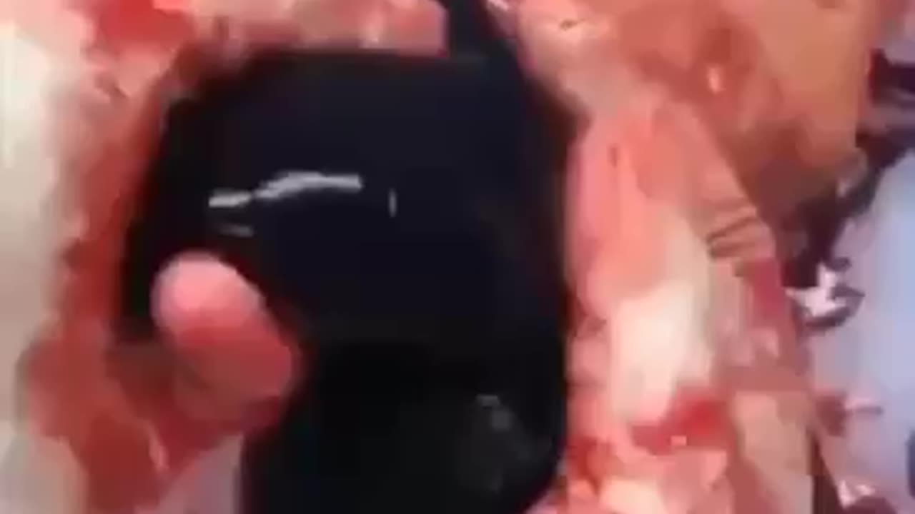 CORAZON CON SANGRE COAGULADA DE UN CADAVER DE UNA PERSONA VACUNADA