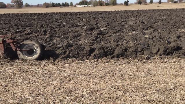 plow day 2020 pt 3