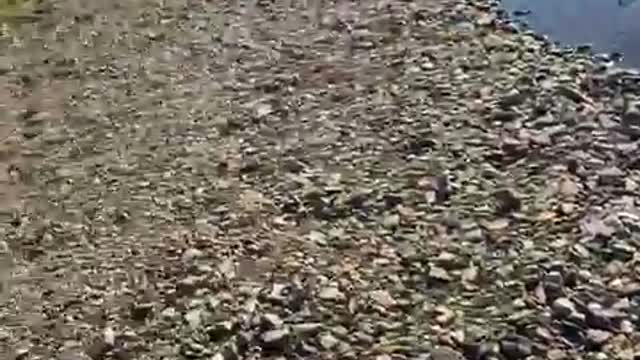 Sound of clear stream