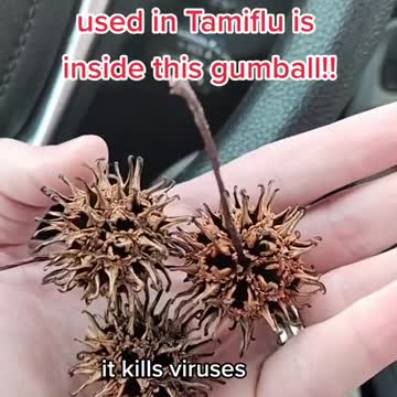 Funny how nature's cure look like the viruses. HMMMMM