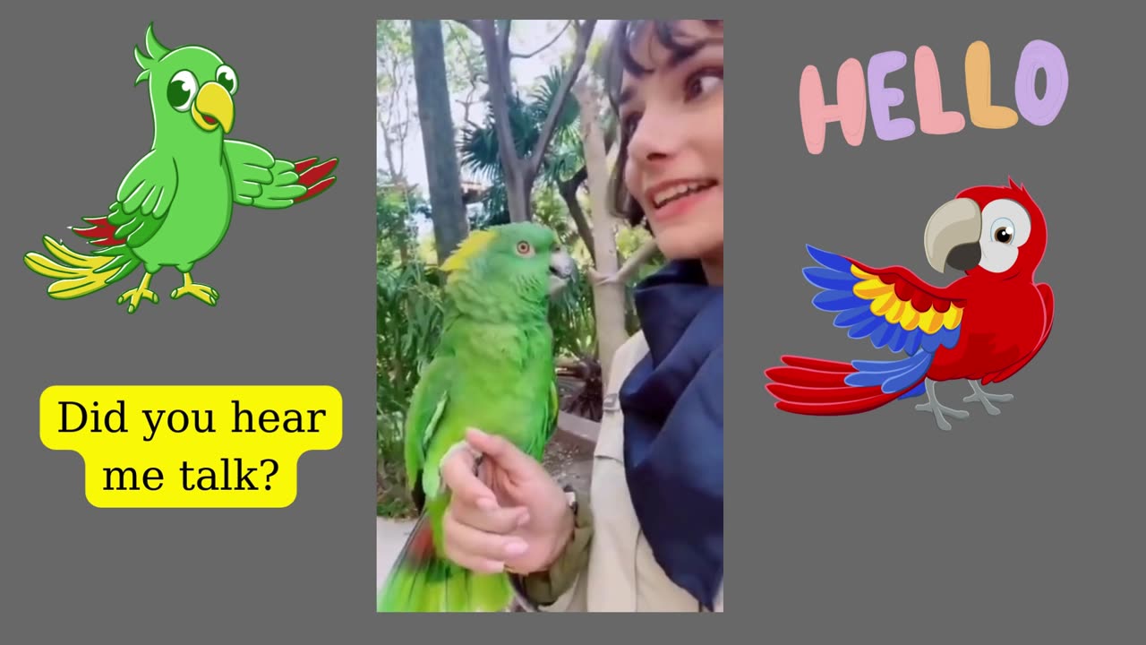 🥰🥰🥰🥰FUNNY PARROT TALKING NATURALLY!!! SUPER LOVELY🥰🥰🥰🥰