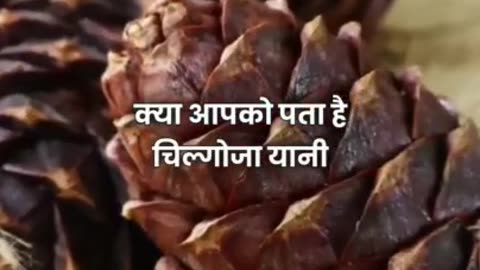 चिलगोजा खाने के अद्भुत फायदे |Amazing benefits of eating pine nuts