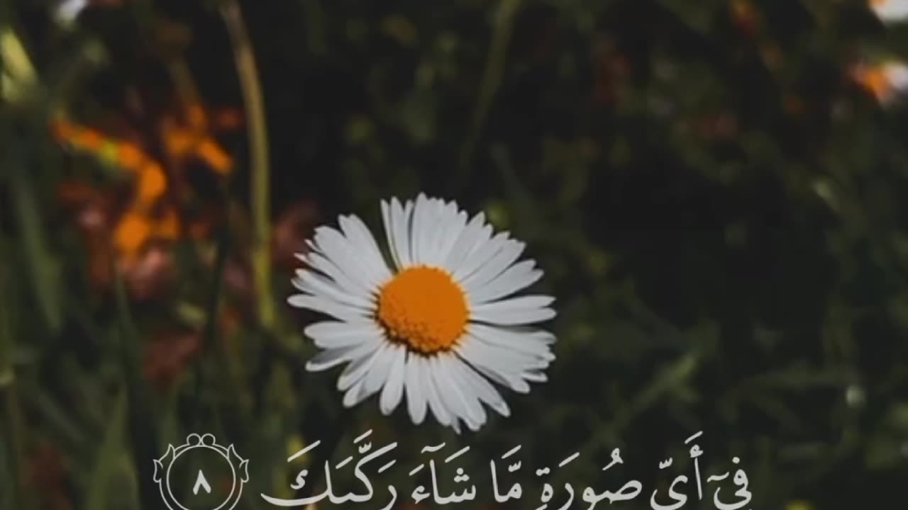 قرآن |سورة الانفطار |الآيات 6-12 Quran |surah al-Infitar |Quranic verse 6-12