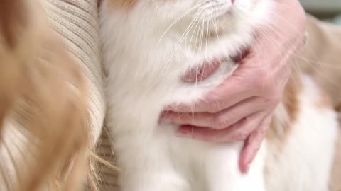 a-woman-with-her-cat-on-the-bed