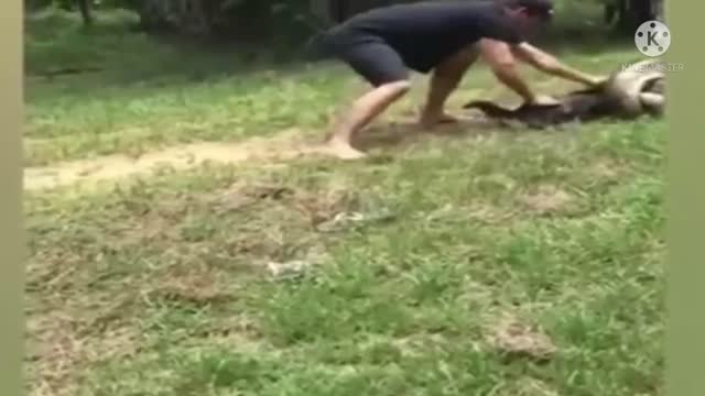 Man Villagers battle save dog from a giant anaconda after seeing it thrashing in the water