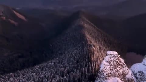 Beautiful View