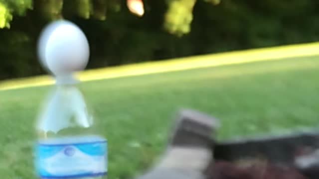 Egg gets scrambled