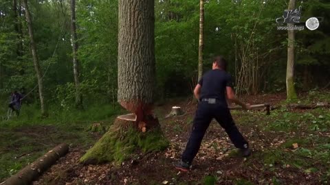 Woman Cutting Down Big Oak Tree with Medieval Ax