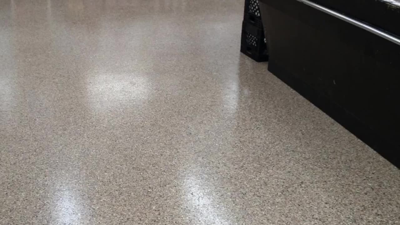 Durable & seamless floor coatings to protect your concrete surfaces