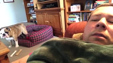 Dog Has A Loud Reaction When His Couch Privileges Are Denied 🐕