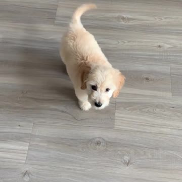 I knew ‘Hand Hand’ now!