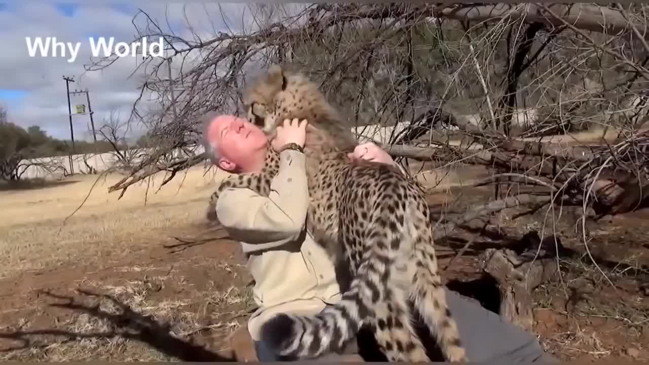 Animal Love - They meant for love