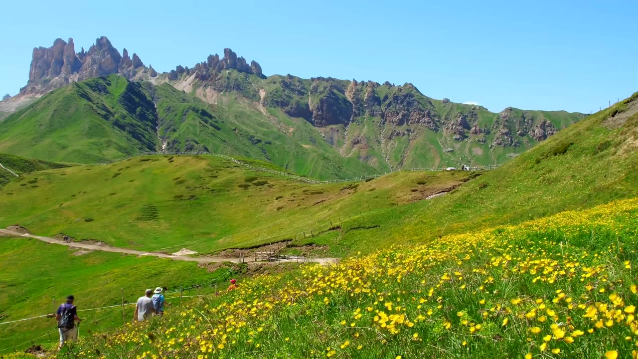 Nature is the natural world and all living organisms, including plants, animals, and landscapes