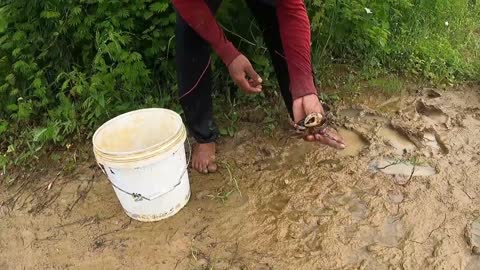 amazing fishing! a fisherman skill catch fish and crabs a lots by best hand in field-7