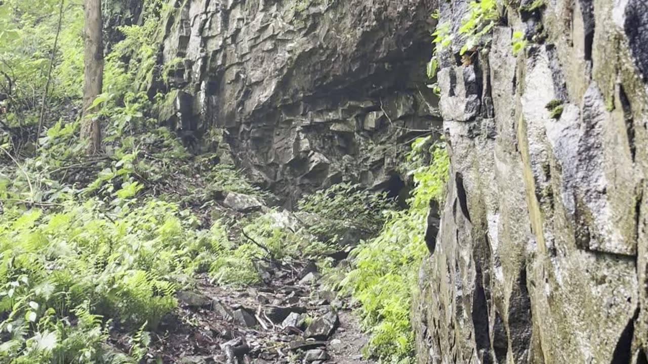 Waterfall in Cloudland Canyon State Park