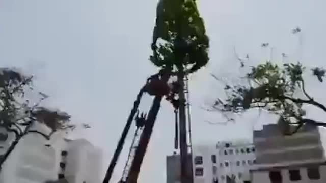 In Peru 5G antennas are taken down because the public