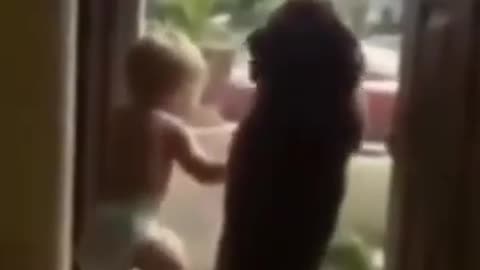 Some Real Excitement | Dog And Kid Excited to see Dad