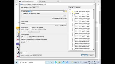 BitTorrent, o que é? como funciona? como usar?