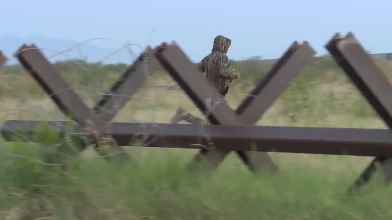 Illegal immigrants dressed in camouflage use a rope to scale the border wall,