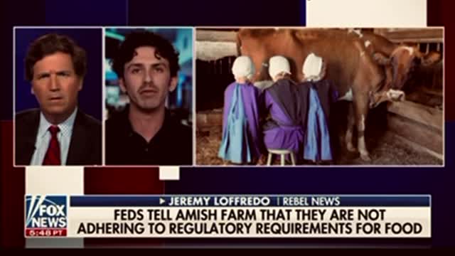 Amish farmers being roughed up by the FED?? Why?