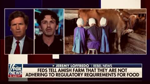 Amish farmers being roughed up by the FED?? Why?