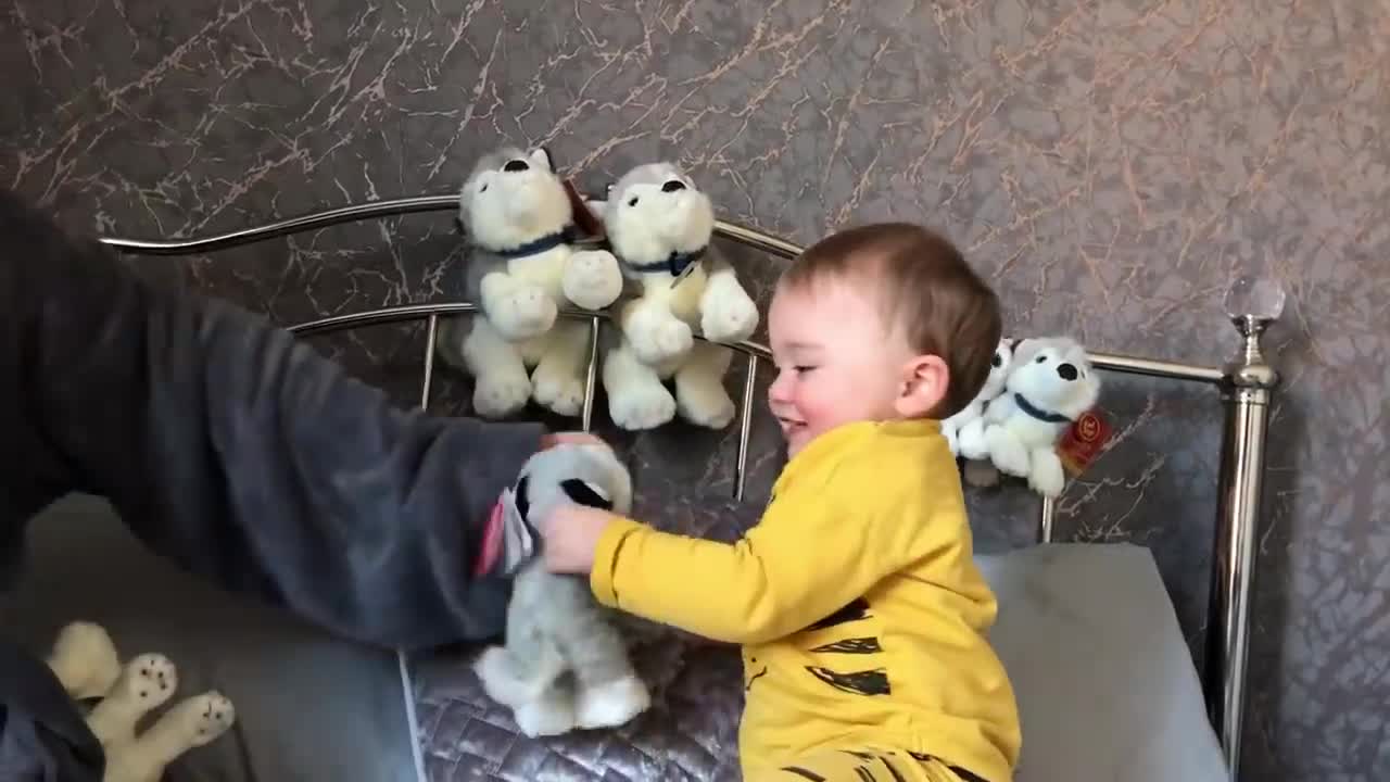🤣Funny Dog Videos 2020🤣 🐶 It's time to LAUGH with Dog's life