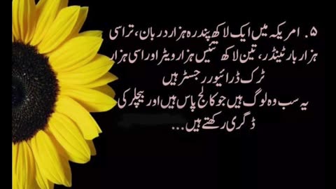 Best urdu motivational Quotes