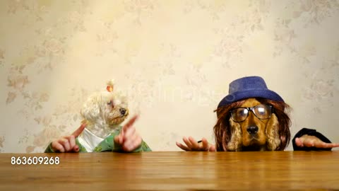 Dogs Having Fun