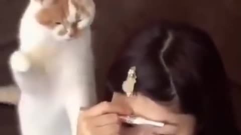 super funny animals videos - try not to laugh