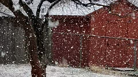 BIG SNOWFLAKES