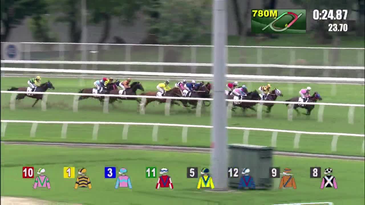 Horse_Race_2022061211_Chinese