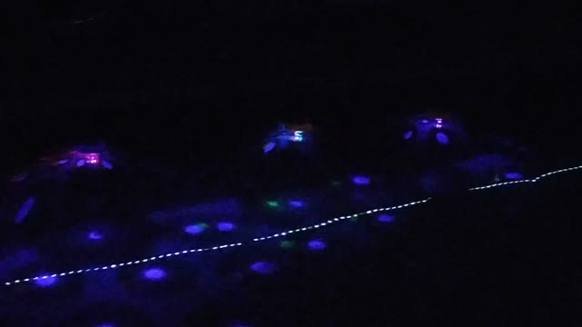 Lights In pool that look like UFOs