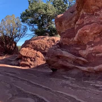 Nature's Muse: Finding Your Flow