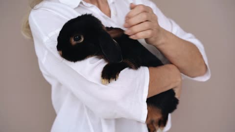 my neighbour loves my pet