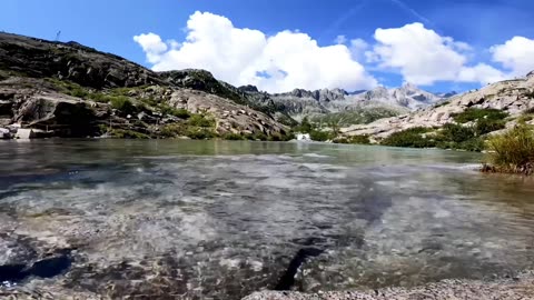 20 Minutes of Serene Creek Sounds for Calmness