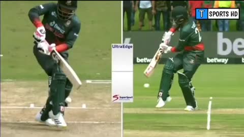 Bangladesh vs South Africa highlight