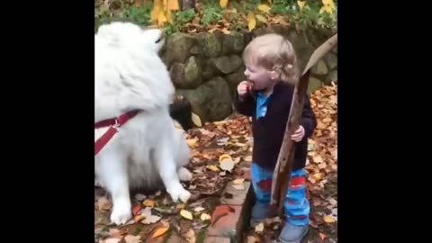 Cute Baby Animal funny 2024