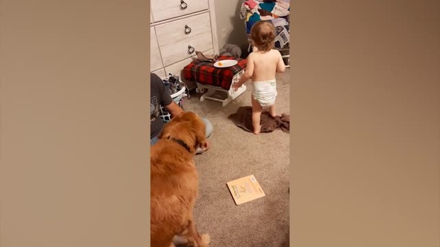 Cute Babies Playing With Dogs Compilation