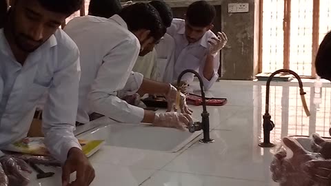 In biology lab