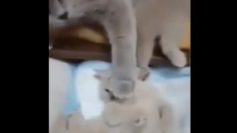 Do not scream, wake people up