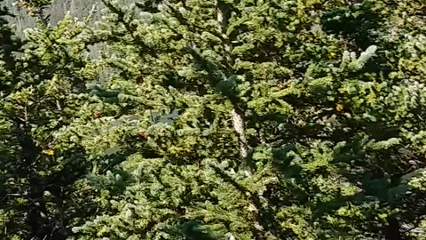 power of nature