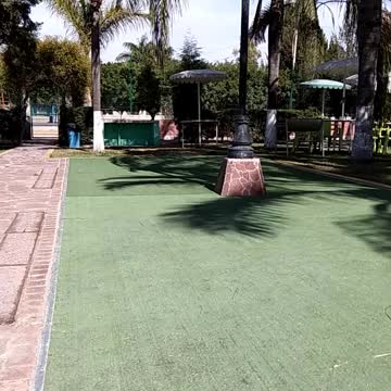 Jesus Truther Episode #35 See Christ's Omnipresent bearded face in different trees