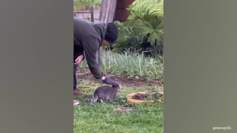 Humans and Animals being Best Friends 😍