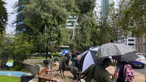 The Umbrella People at Government House - Thursday 15th September 2022 👨‍👩‍👧‍👦⛱👨‍👩‍👧‍👦☂️👨‍👩‍👧‍👦☔️