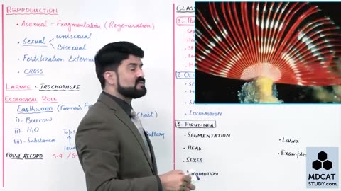 LEC#10 PHYLUM ANNELIDA (PART-B)