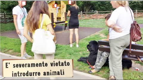 cani AGGRESSIONE AD ARESE (MI)