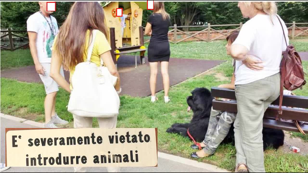 cani AGGRESSIONE AD ARESE (MI)