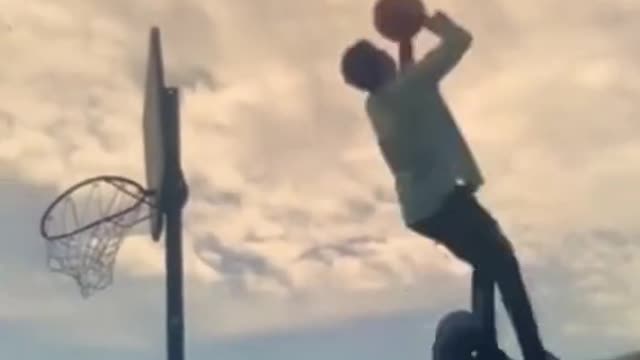 Basketball dunk with elephants compilation video